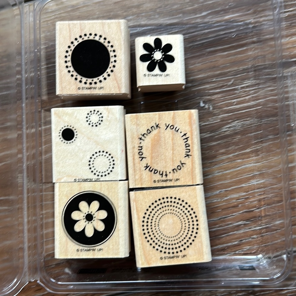 Stampin Up! Seeing Spots Two step stampin